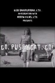 Poster do filme Go, Pussycat, Go!