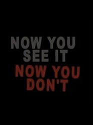 Now You See It Now You Don't movie poster