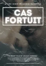 Poster do filme Cas Fortuit