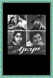 Poster do filme Aygün