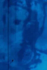 Rayures (Rayures, effacement / Disparition) movie poster