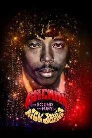 Bitchin': The Sound and Fury of Rick James movie poster