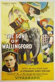 The Son of Wallingford movie poster