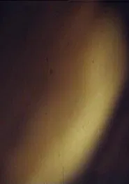 Petty-Bourgeois Dracula Idyll at the Family Table movie poster