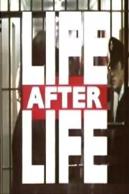 Life After Life movie poster