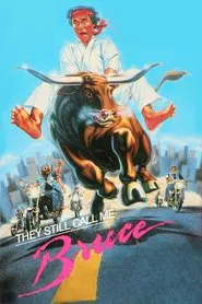 They Still Call Me Bruce movie poster