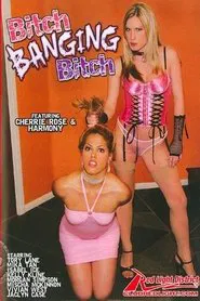 Bitch Banging Bitch movie poster