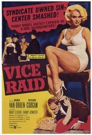 Vice Raid movie poster