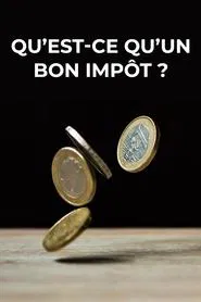 What Is a Good Tax? movie poster