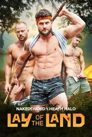 Lay of the Land movie poster