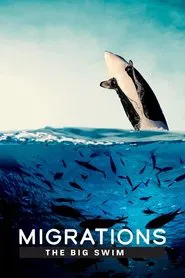 Migrations: The Big Swim movie poster
