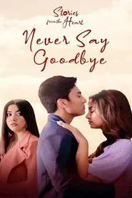 Never Say Goodbye tv show poster