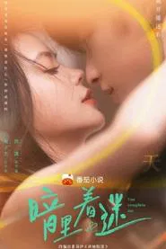 You Complete Me tv show poster