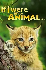 Poster da série If I were an Animal