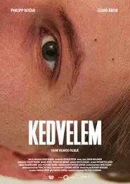 Liked it movie poster