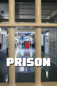 Prison tv show poster