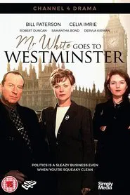 Mr White Goes To Westminster movie poster