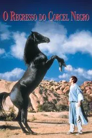 Poster do filme O Regresso do Corcel Negro