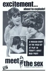 Meet The Sex movie poster