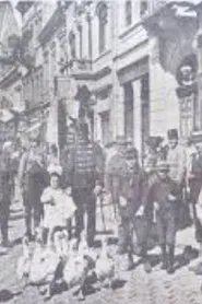 Main Street of Kosice on the Theatre Screen movie poster