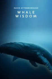 Whale Wisdom movie poster