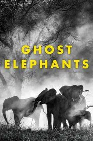 Ghost Elephants movie poster