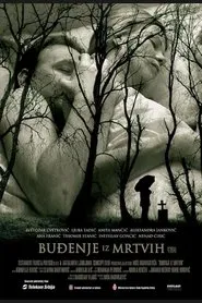 Poster do filme Awakening from the Dead