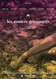 The Climbing Roses movie poster