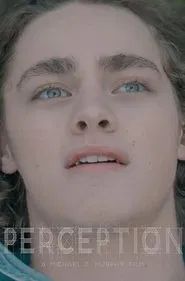 Perception movie poster