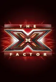 Poster da série The X Factor