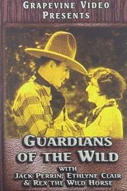 Guardians of the Wild movie poster