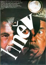 Poster do filme Hněv