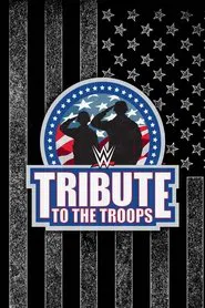Poster do filme WWE Tribute to the Troops 2021