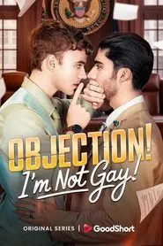 Objection! I'm Not Gay! movie poster