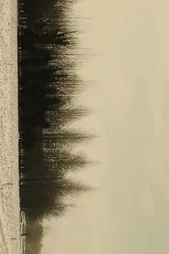 REVELATION movie poster