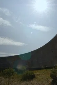 Relic 1 movie poster