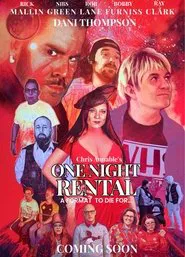 Poster do filme One Night Rental