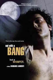 Not with a Bang movie poster