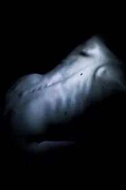 Late and Deep movie poster