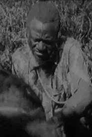 Poster do filme O Kimbanda Kambia