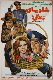 Joys of Our Life movie poster