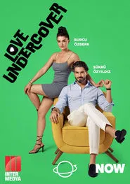 Love Undercover tv show poster