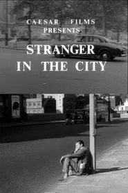 Poster do filme Stranger in the City