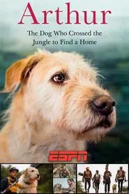 Arthur movie poster