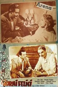 Giorni felici movie poster