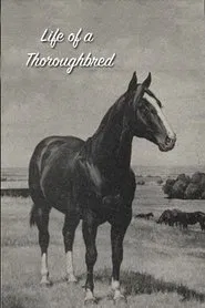 Life of a Thoroughbred movie poster
