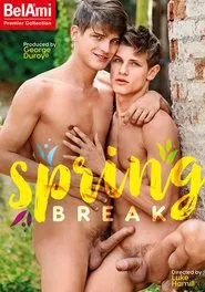 Spring Break movie poster