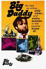 Big Daddy movie poster