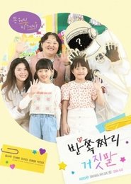 Half Lies tv show poster