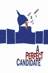 A Perfect Candidate movie poster